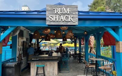 Maximizing Visibility: Tips for Effective Outdoor Signage by ODMX
